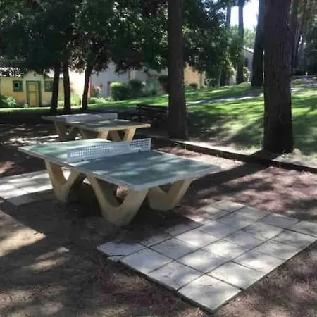 Magnifique Et Cosy Avec Piscine Et Golf Apartment Lacanau