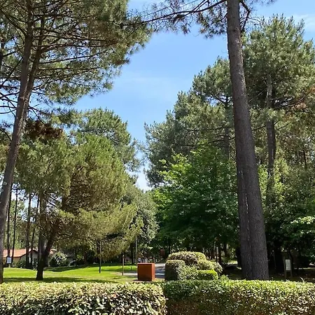Magnifique Et Cosy Avec Piscine Et Golf 公寓