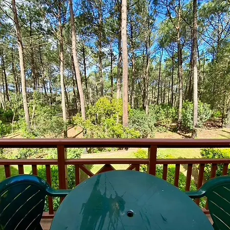 Magnifique Et Cosy Avec Piscine Et Golf 公寓 *
